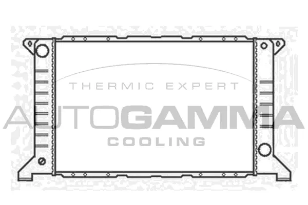 Radiator, engine cooling (102077)
