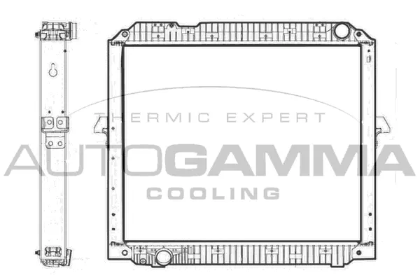 Radiator, engine cooling (405532)