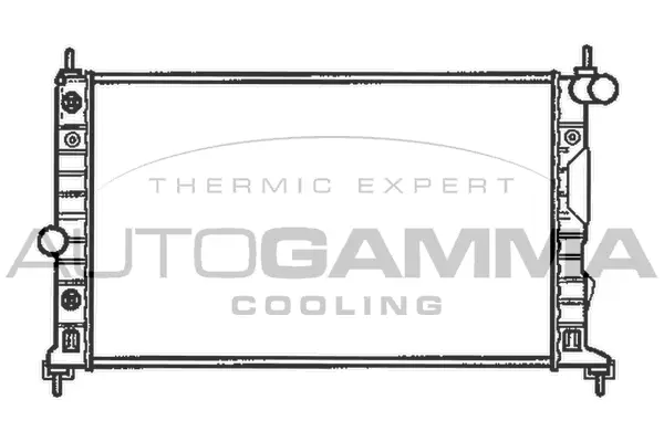 Radiator, engine cooling (102304)