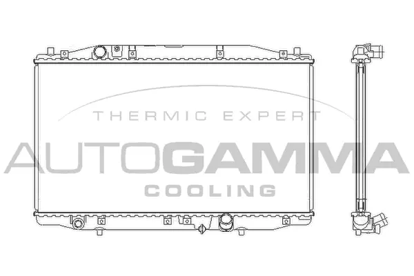 Radiator, engine cooling (105211)