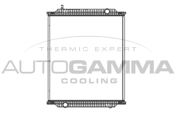 Radiator, engine cooling (404728)