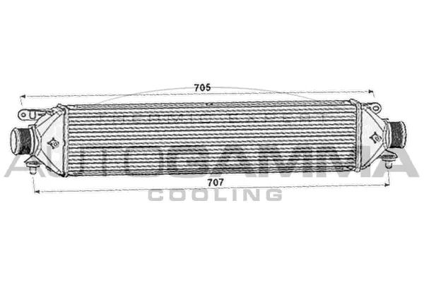 Charge Air Cooler (107859)
