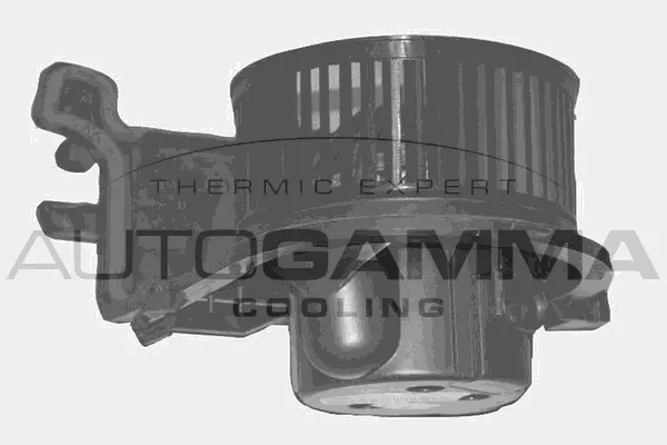 Interior Blower (GA20342)