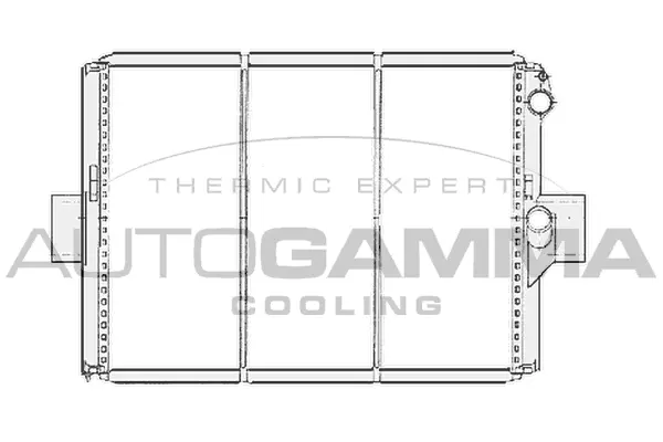 Radiator, engine cooling (404056)