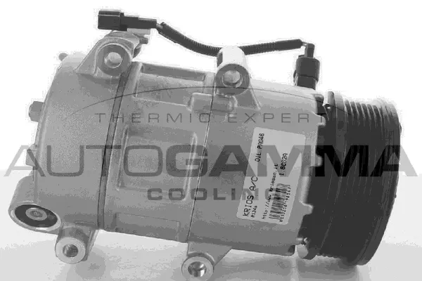 Compressor, air conditioning (118447)