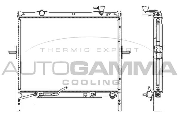 Radiator, engine cooling (107029)