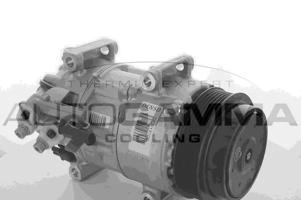 Compressor, air conditioning (118520)