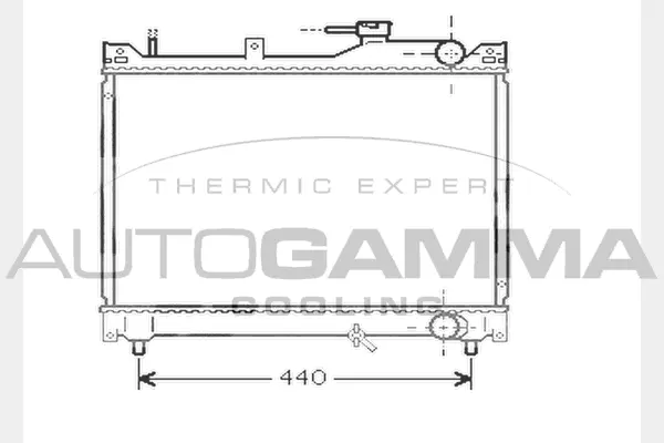Radiator, engine cooling (104565)