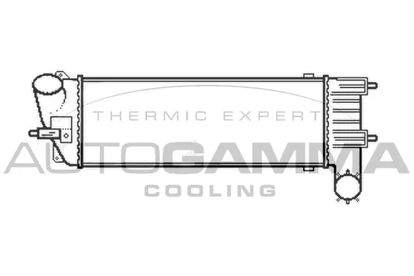 Charge Air Cooler (105613)