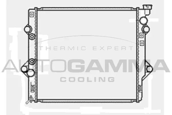 Radiator, engine cooling (104868)