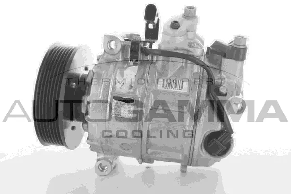 Compressor, air conditioning (118376)