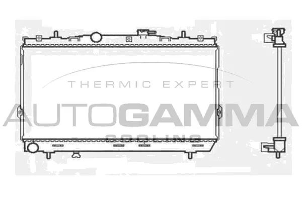 Radiator, engine cooling (104005)