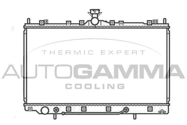Radiator, engine cooling (105660)