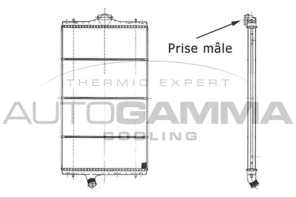 Radiator, engine cooling (403618)
