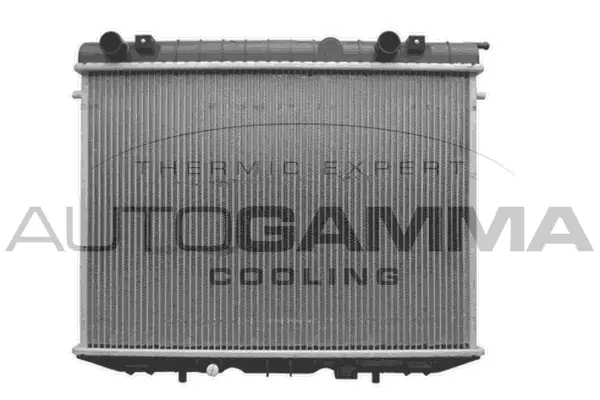 Radiator, engine cooling (100677)