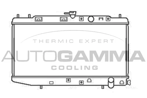Radiator, engine cooling (100413)