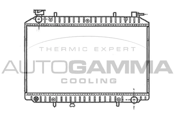 Radiator, engine cooling (102200)