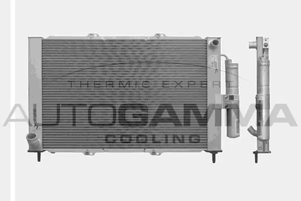 Radiator, engine cooling (103353)