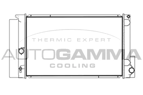 Radiator, engine cooling (107967)