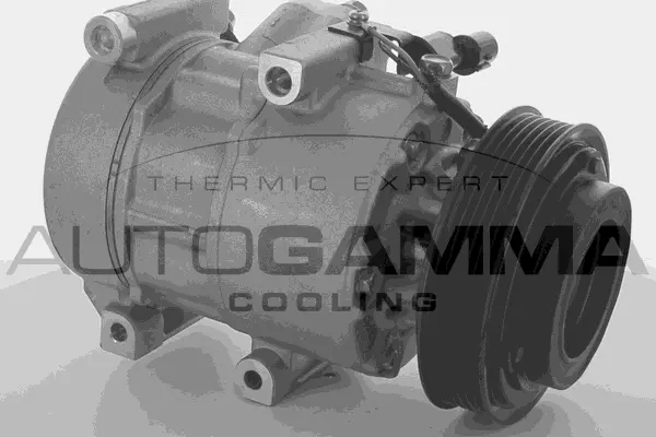 Compressor, air conditioning (118599)