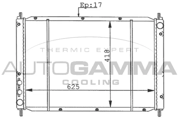 Radiator, engine cooling (100425)