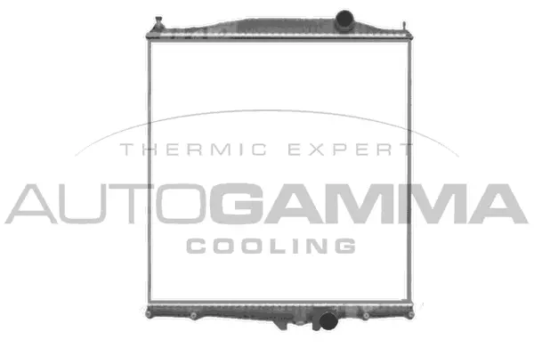 Radiator, engine cooling (405498)