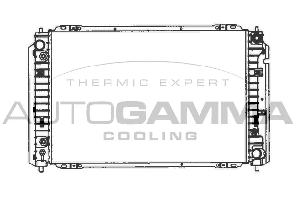 Radiator, engine cooling (103075)
