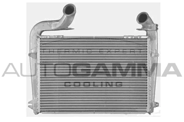 Charge Air Cooler (405472)