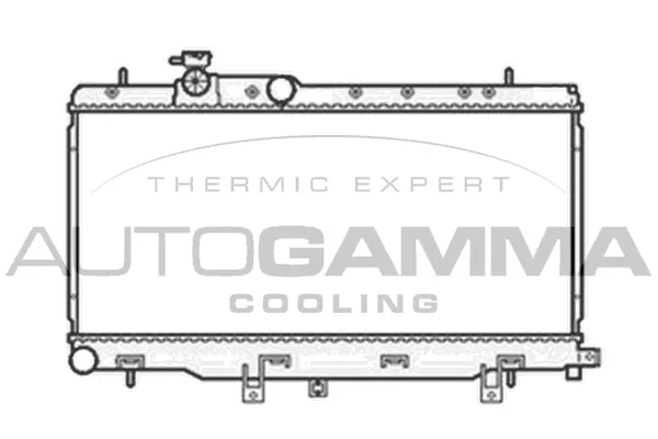 Radiator, engine cooling (104105)