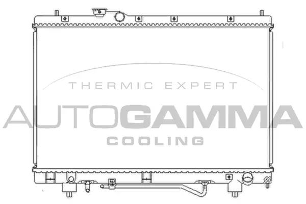 Radiator, engine cooling (102371)