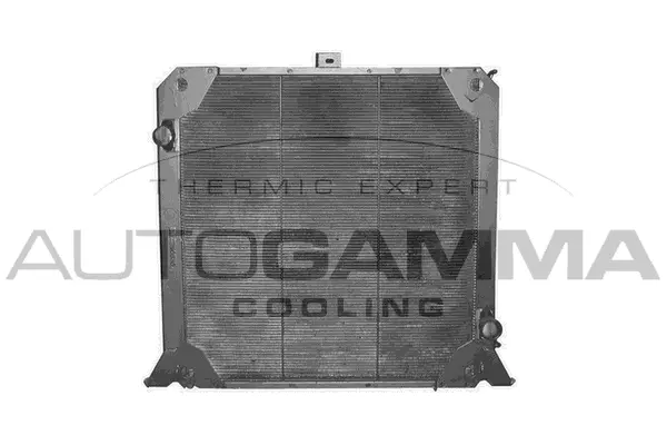 Radiator, engine cooling (401494)