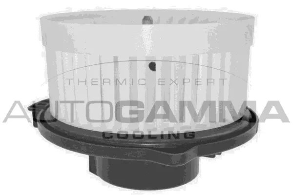 Interior Blower (GA36002)
