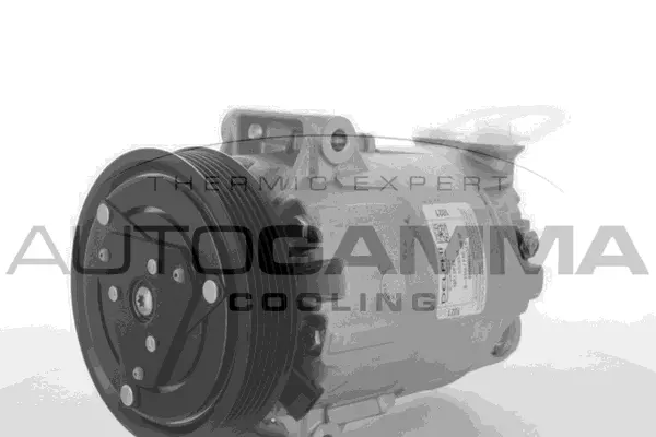 Compressor, air conditioning (109128)