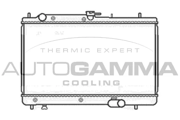 Radiator, engine cooling (104107)