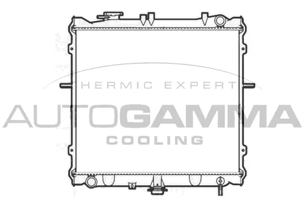 Radiator, engine cooling (104119)