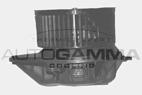 Interior Blower (GA20344)