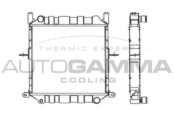 Radiator, engine cooling (103051)