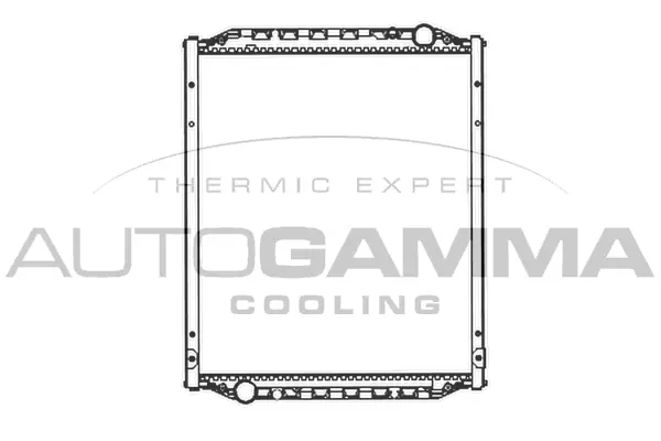 Radiator, engine cooling (403682)