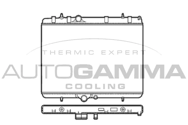 Radiator, engine cooling (103589)