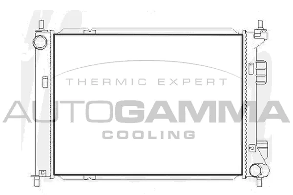 Radiator, engine cooling (107488)