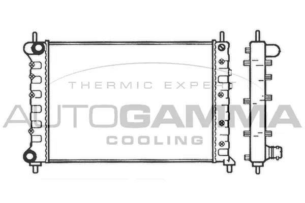 Radiator, engine cooling (101399)