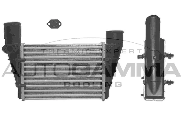 Charge Air Cooler (101858)
