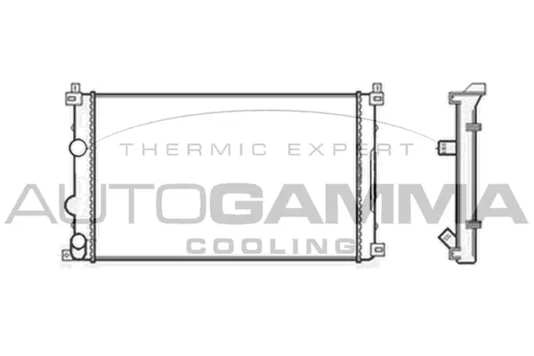 Radiator, engine cooling (104117)