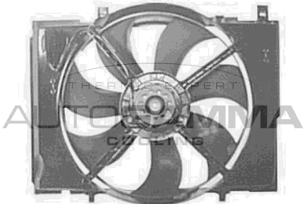 Fan, engine cooling (GA200762)