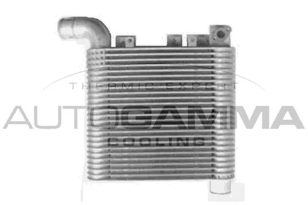 Charge Air Cooler (107321)