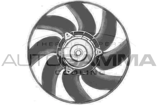 Fan, engine cooling (GA200819)