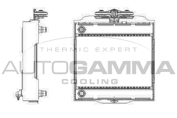 Radiator, engine cooling (107009)