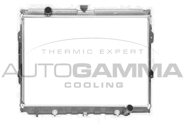 Radiator, engine cooling (107310)