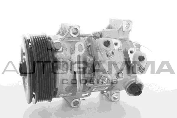 Compressor, air conditioning (118415)