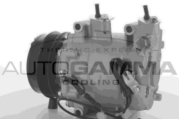 Compressor, air conditioning (118476)